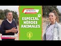 Entrevista Fundación ONCE del Perro Guía - PARTE 1