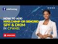 How to Add Mailchimp or SendGrid SPF & DKIM Records in cPanel DNS