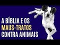 a Bíblia e os maus-tratos contra animais - Leandro Quadros - Caso Carrefour - IASD