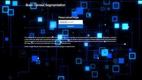 Brain Tumor Segmentation App