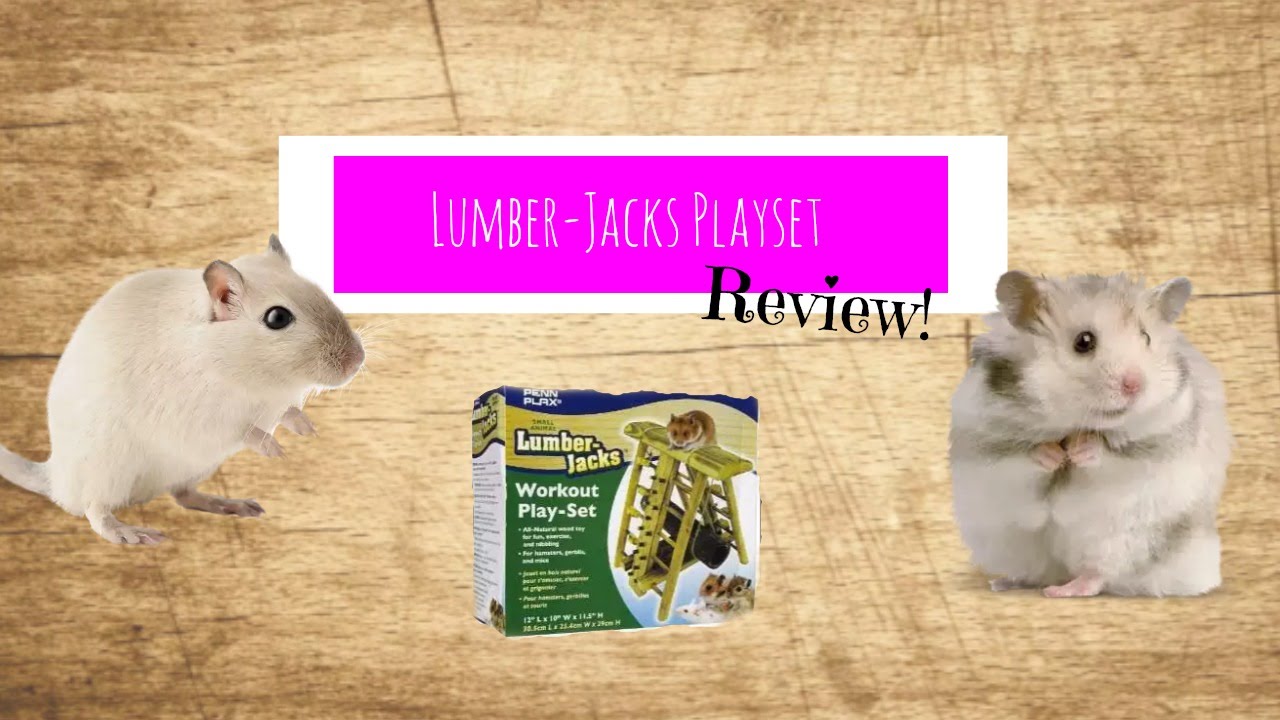 Product reviewLumberJacks playset YouTube