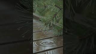 #RelaxingMusic #RainASMR #NatureSounds #MeditationMusic #FluteMusic #StressRelief #CalmSounds