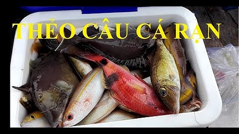 Hướng dẫn làm thẻo câu cá sống ở rạn biển