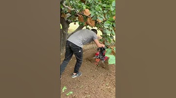 Mini Tiller Machine in Action | Powerful Farming Tool for Easy Soil Preparation part 713