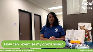 The Pet Pawcast - The Science of Sniffs!
