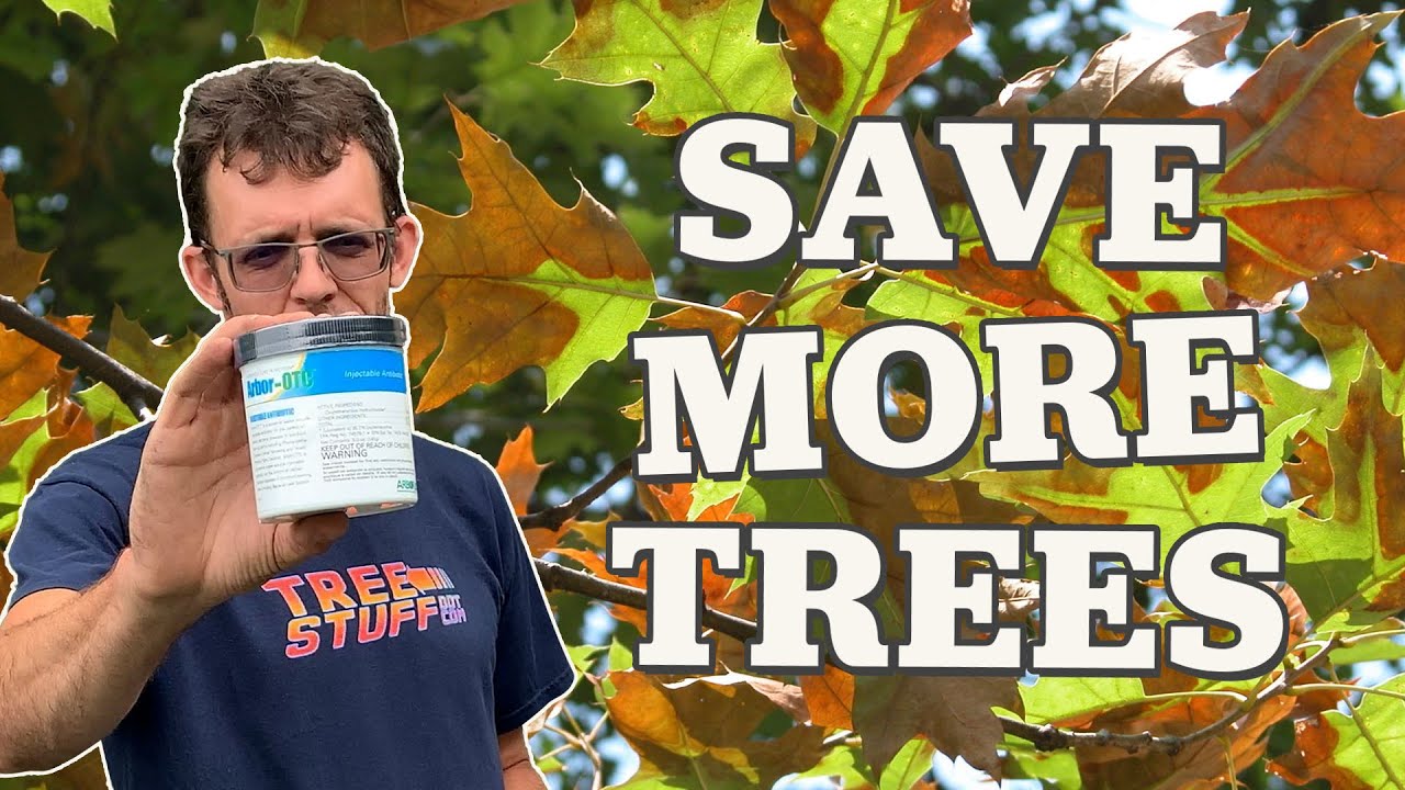 What is Arborjet ArborOTC? TreeStuff Closer Look YouTube