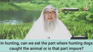 In hunting can we eat part where hunting dog caught the animal or is the part impure assim al hakeem