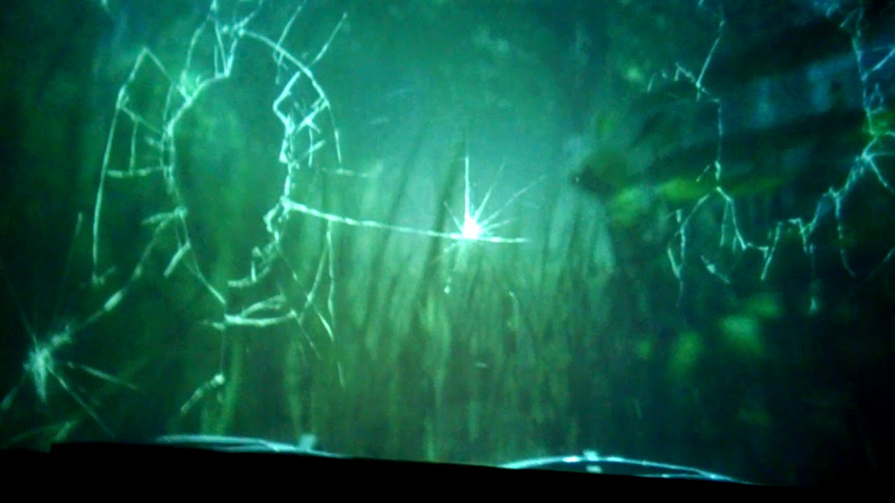 Dino safari thrill ride