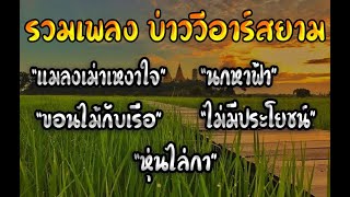 รวมเพลงบ่าววี อาร์สยาม - แมลงเม่าเหงาใจ,นกหาฟ้า,ขอนไม้กับเรือ,ไม่มีประโยชน์,หุ่นไล่กา