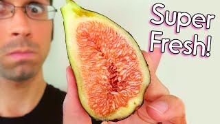 Figs in Algeria Are So Good! - Weird Fruit Explorer