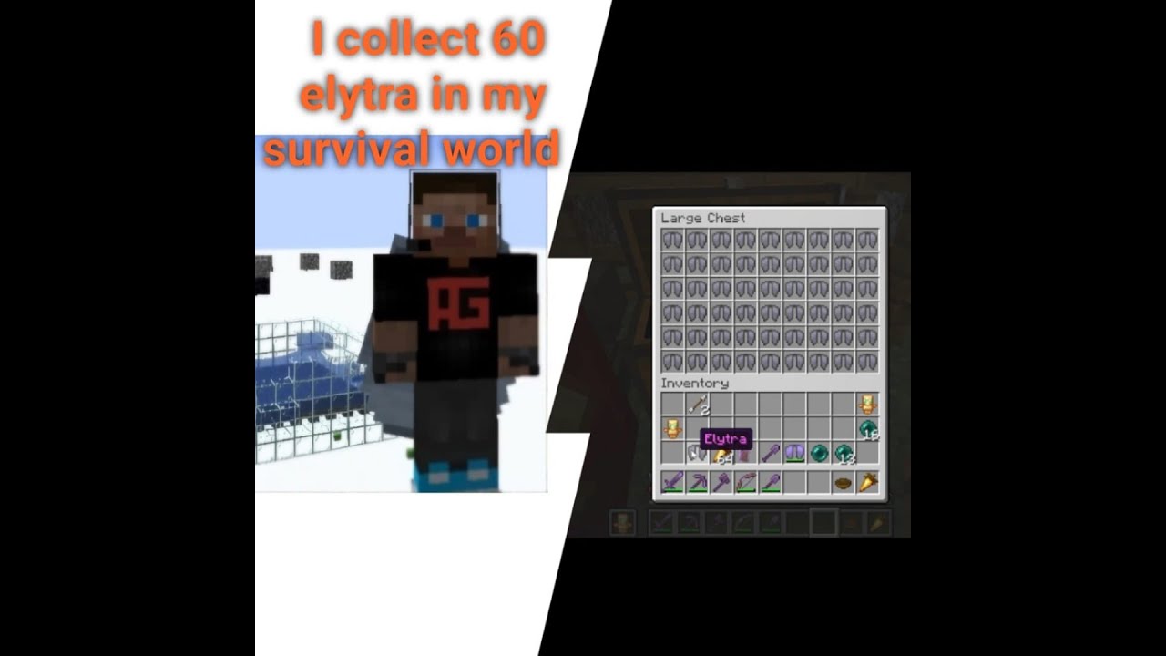 I collect 60 elytra in my survival WORLD in Minecraft | Minecraft ...
