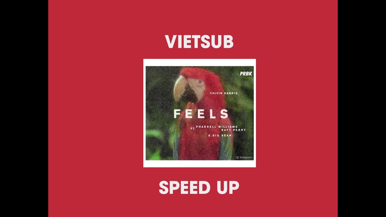  Vietsub  Speed Up TIKTOK Feels   Calvin Harris ftPharrell Williams Katy Perry Big Sean