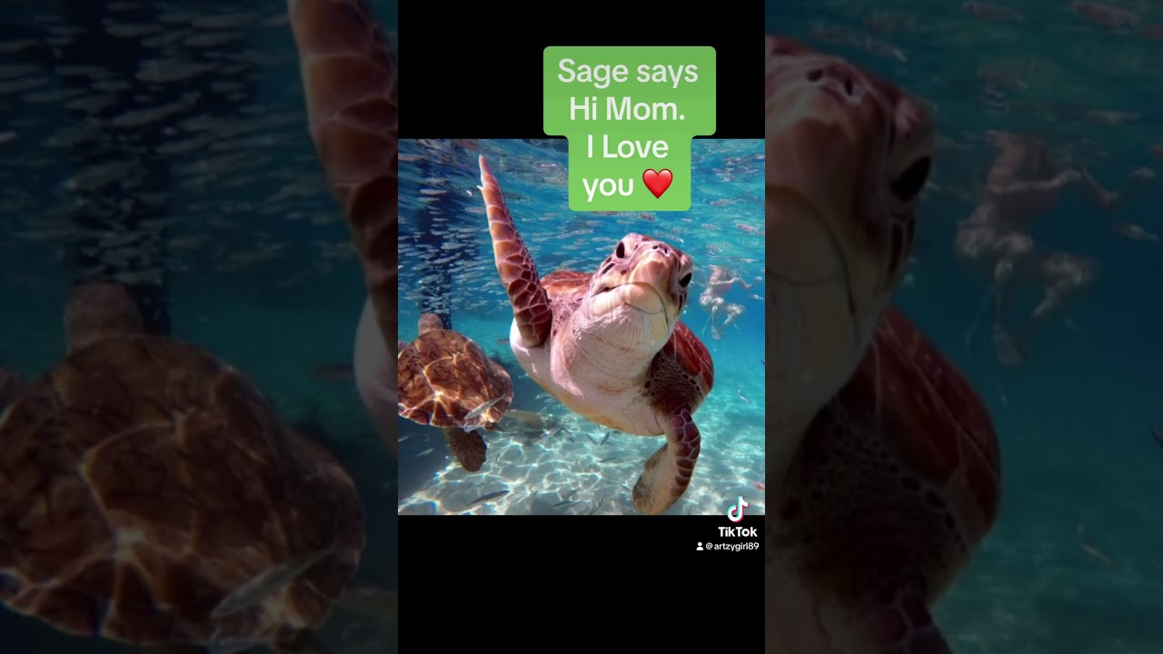 Happy Birthday to my Grandson Sage 🌈💚