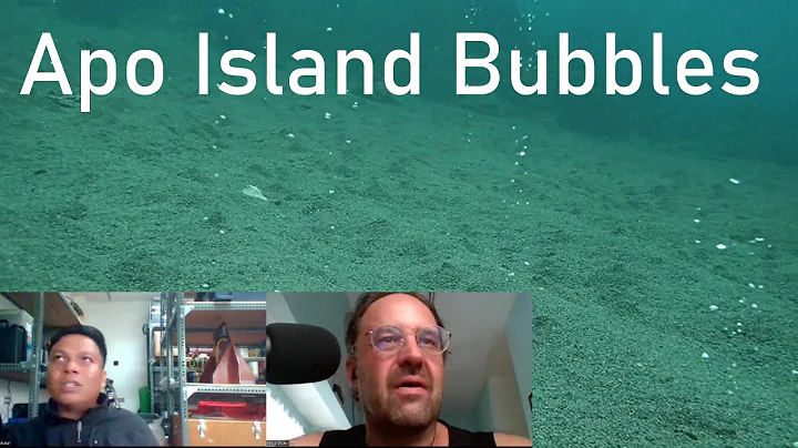 Volcanic Bubbles in Apo Island: Geologist Jeffrey ...