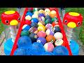 Marble Run ☆ Blue Dragon Ball & Billiard Ball