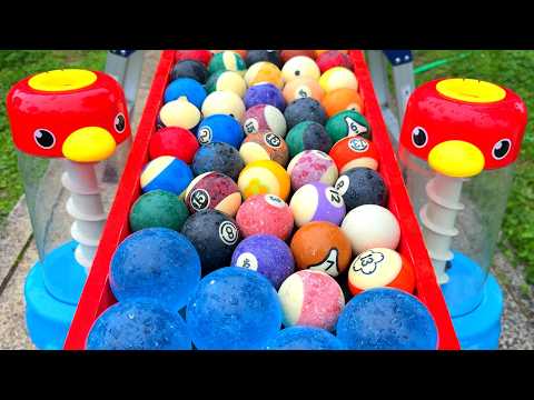 Marble Run ☆ Blue Dragon Ball & Billiard Ball