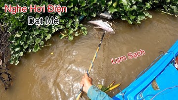 Hốt Toàn Hàng Khủng Nghe Hơi Điện Dạt Dô Mé Bóp Cái Là Lụm | Kích Cá Miền Tây | Catch Fish