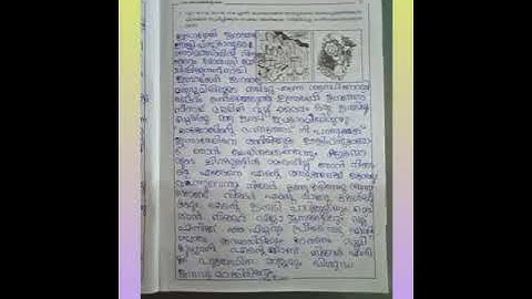 Chapter 1 Class 8 workbook Answers