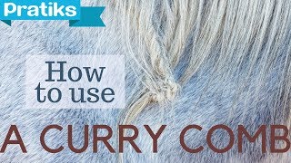 Horse Riding - How to Use the Curry Comb