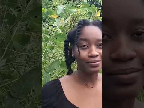 Does Moringa help with pain?