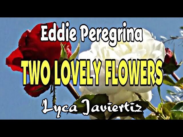 Two lovely Flowers - Eddie Peregrina | Lyca Javiertiz | Lyrics class=