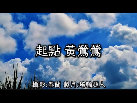 花蓮U_日常美景(起點_黃鶯鶯)_20241106