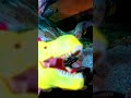 Arex e il serpente 🐍🦖