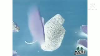 Jibjab Avacados Win The Game Football G Major Effect