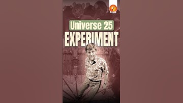 Universe 25 Experiment