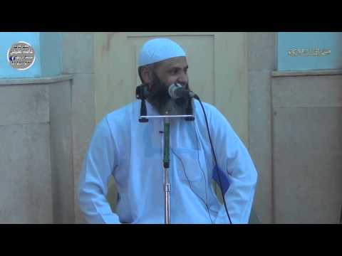 الشيخ الم ربي عاصم عفيفى قدر الدنيا بالنسبة للأخرة