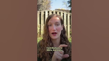 COP30: What are NDCs and why do they matter?