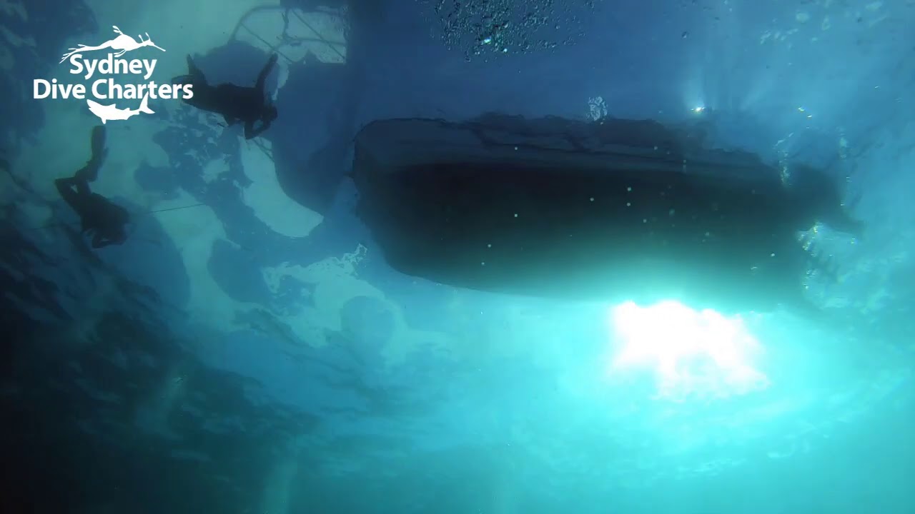 Dive Sydney scuba diving divers descending dive boat Bluefish Point best dive site