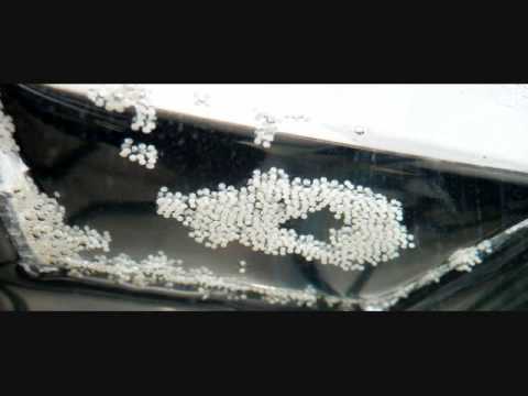 MG BF spawn 2 28 2010.wmv