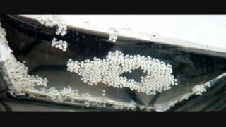MG BF spawn 2 28 2010.wmv
