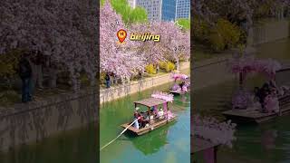 Welcome to Beijing,if you need Travel tips,contact me!#travel  #china #traveltips #sololeveling