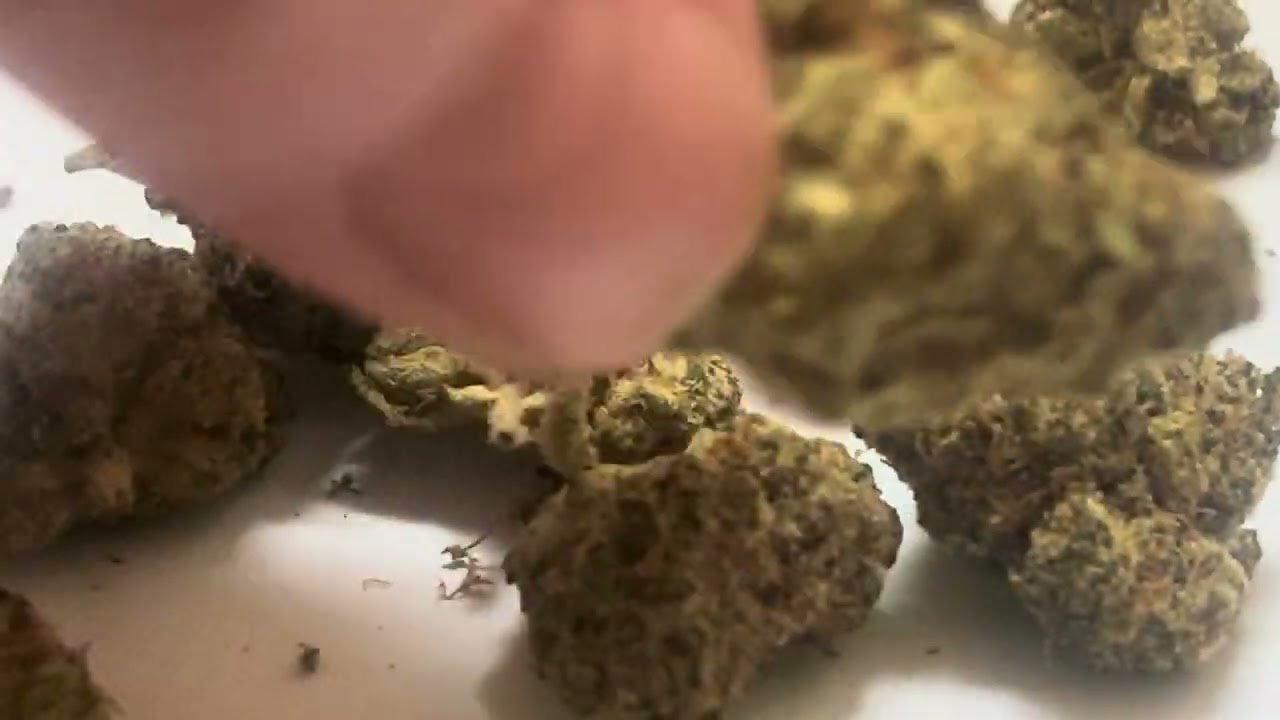 Cake & Caviar Waffle Bites Flower Short