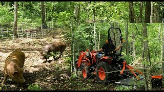 Thick Woods Tractor Action: Conquering for Porky Permaculture