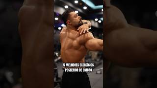 5 Melhores Exercícios Posterior De Ombro
