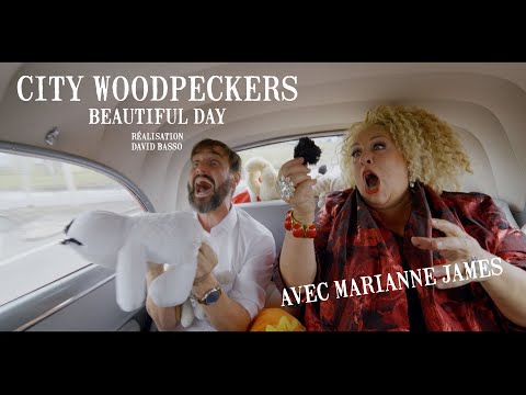 City Woodpeckers - Beautiful day (Music video)