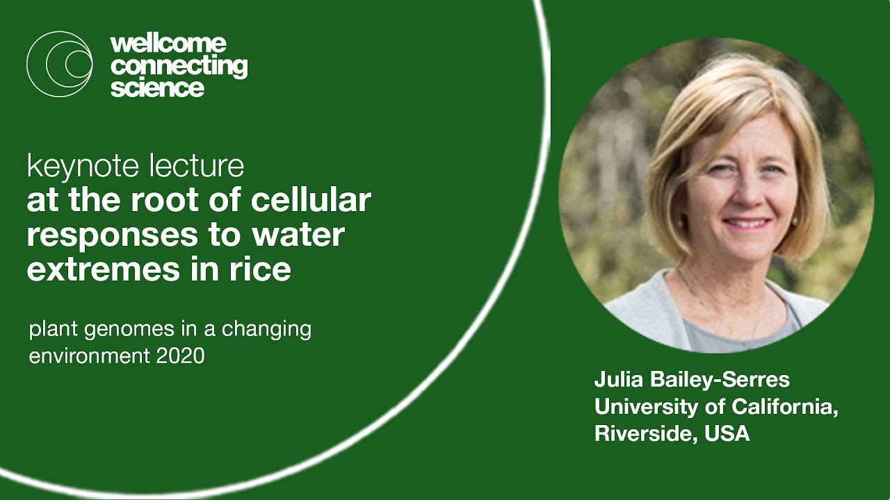 Julia BaileySerres At the root of cellular responses to water