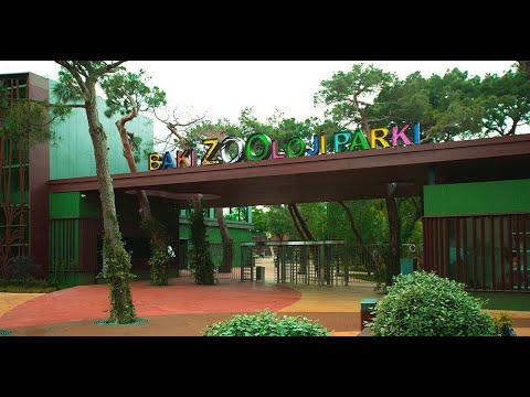 Baku Zoo, (Бакинский зоопарк) 4K Walking