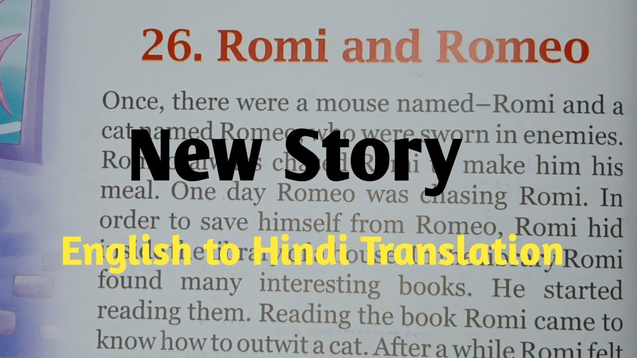 Romi and Romeo name Cat 🐈 😻 🐈‍⬛️/