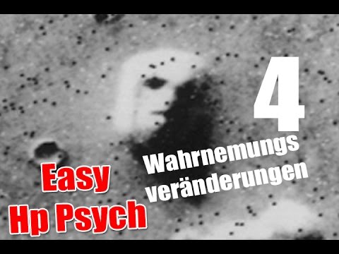 Heilpraktiker Psychotherapie Prüfungsvorbereitung 4 - Wahrnemungsveränderungen