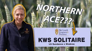KWS Solitaire Winter Wheat: High-Yield Soft Wheat & Top Group 3 Performer screenshot 5