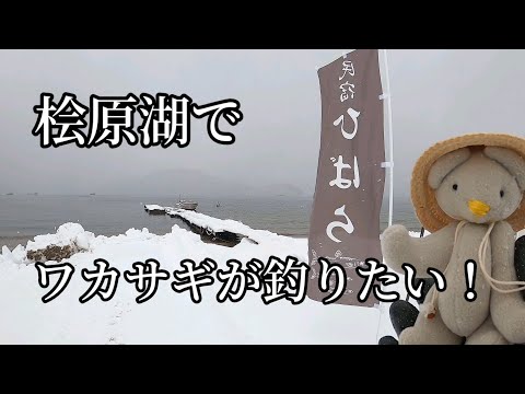 【ワカサギ釣り】2022年の釣り納め【桧原湖】