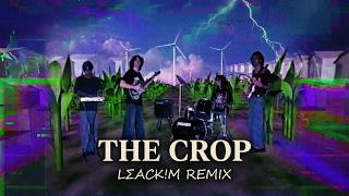 Liminal - The Crop (LΣACK!M✨💀Remix)