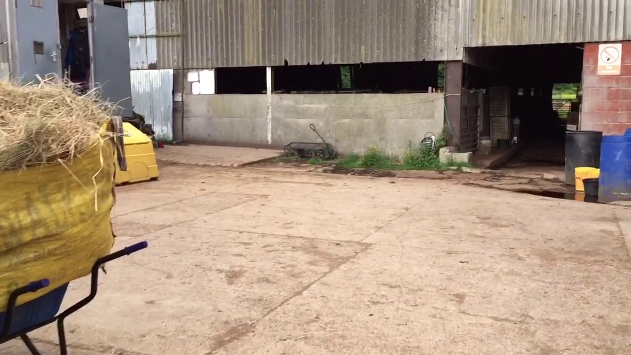 Southborough lane stable Bromley YouTube