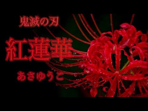 【鬼滅の刃】紅蓮華 歌ってみた byあさゆうこ