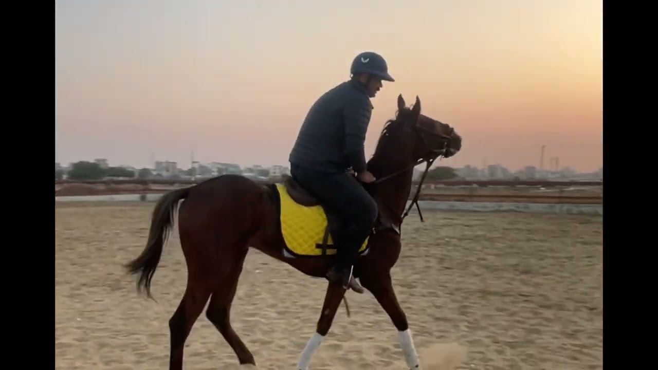 Horse Riding is the Best Physical Activity 