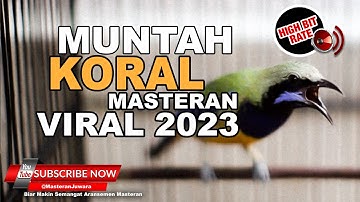 🔴 FREE DOWNLOAD❗️ Masteran Handal Cucak Cungkok Audio Jernih